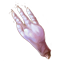 ON-icon-food-Plump Rodent Toes.png