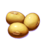 ON-icon-plant-Seeds.png