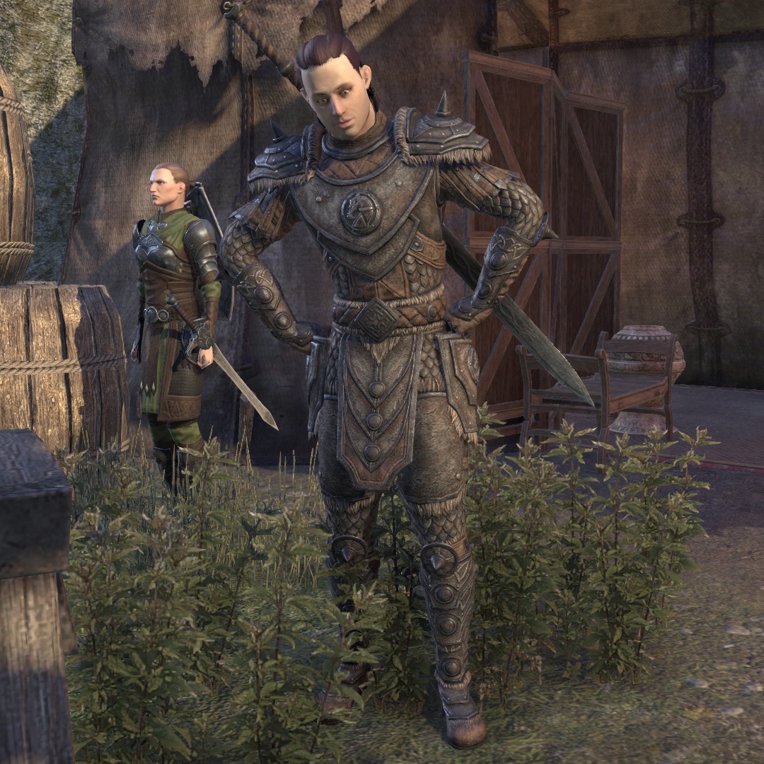 ESO: Search the Camp - Into the Woods - , The Video Games Wiki