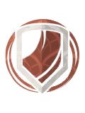 CT-Icon-SpecialAbility Shield Physical.png