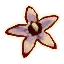 OB-icon-ingredient-Nightshade.png