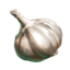 ON-icon-food-Garlic.png