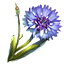 ON-icon-reagent-Corn Flower.png