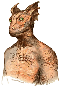 Argonian Female