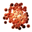 ON-icon-lure-Fish Roe.png