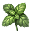 ON-icon-food-Mint.png