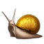 ON-icon-fish-Snail.png
