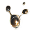 ON-icon-reagent-Clam Gall.png