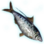 ON-icon-fish-Shad 02.png