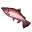 ON-icon-fish-Red Salmon.png