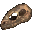 Argonian Skull