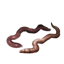 ON-icon-lure-Worms.png