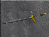 DF-icon-weapon-Iron Longsword.png