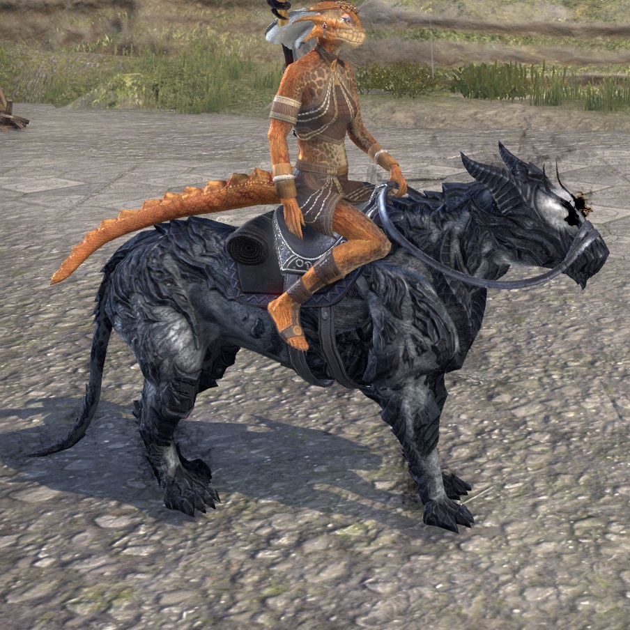 ESO Fashion  Shadow-Rider Senche (Elder Scrolls Online)