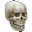 MW-icon-misc-Skull.png