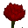 Sanguine's Rose