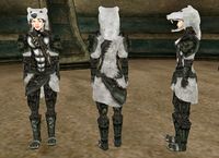 BM-item-Snow Bear Armor Female.jpg