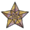 Featured star.png