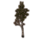 ON-icon-furnishing-Sapling, Young Birch.png