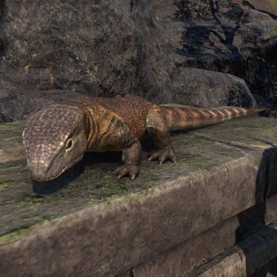 Lore:Ancestor Lizard - The Unofficial Elder Scrolls Pages (UESP)