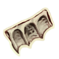 OBR-icon-ingredient-Scalon Fin.png