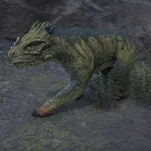 Online:Lizard Bear - The Unofficial Elder Scrolls Pages (UESP)