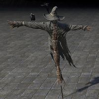 ON-furnishing-Witches Festival Scarecrow.jpg