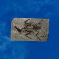 Thumbnail for version as of 01:35, 22 April 2025