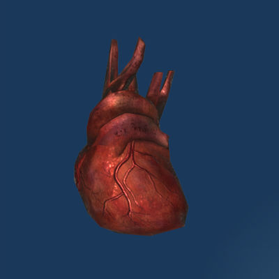 Blades Daedra Heart The Unofficial Elder Scrolls Pages UESP   400px BL Item Daedra Heart 