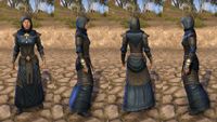 ON-armor-Nibenese Court Wizard (female).jpg