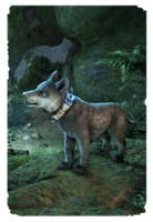 ON-card-Elder Dragon Hunter Wolf Pup.png