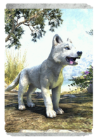 ON-card-White River Ice Wolf Pup.png
