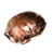 ON-icon-reagent-Mudcrab Chitin.png