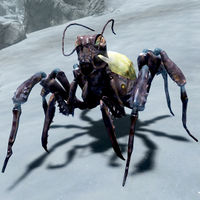 SR-creature-Demented Elytra Nymph.jpg