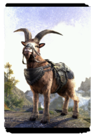 ON-card-Clawhorn Mountain Goat.png