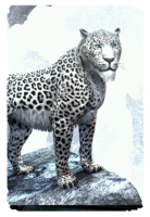ON-card-Spotted Snow Senche-Leopard.png