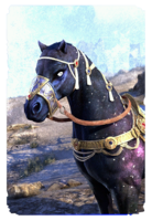 ON-card-Star-Born Guardian Horse.png
