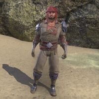 ON-costume-Abecean Privateer's Apparel (male).jpg