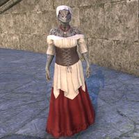 ON-costume-Tavern Maid (female).jpg