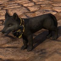 ON-pet-Companion's Wolf Pup.jpg