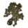 ON-icon-furnishing-Tree, Ancient Summerset Spruce.png
