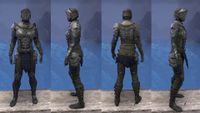 ON-item-armor-Nighthollow Medium 02.jpg