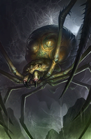 LG-cardart-Poisonous Spider.png