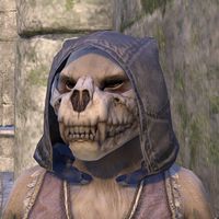 Skullface Mask, Shell Shockers Wiki