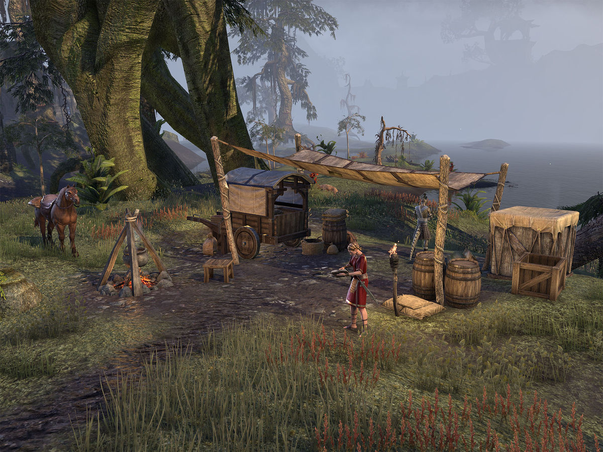 ESO: Search the Camp - Into the Woods - , The Video Games Wiki