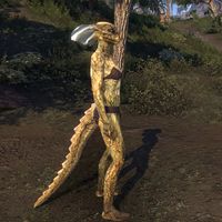 ON-skin-Blood-Drained Thrall (Argonian) 02.jpg