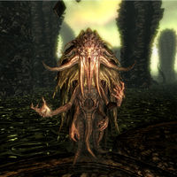 Skyrim Seeker The Unofficial Elder Scrolls Pages Uesp