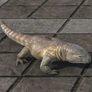 Online:Helstrom Ancestor Lizard (furnishing) - The Unofficial Elder ...