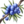 ON-icon-food-Juniper Berry.png