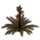 ON-icon-furnishing-Flower, Healthy Hibiscus.png